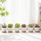 Set of 6 Mini 2.5 Inch White Ceramic Succulent Pots with Bamboo Tray – Round Small Planters for Cactus, Succulents, Air Plants, Desk, Home & Office Decor